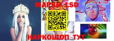 крисы Пенза