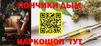 крисы Пенза