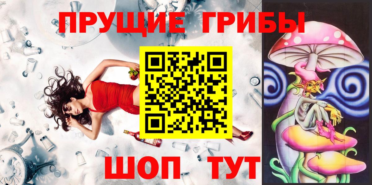 Балашов  Псилоцибиновые грибы прущие грибы  Вход с VPN 